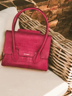 Colette M Alligator Cocktail