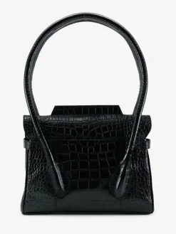 Colette S Alligator