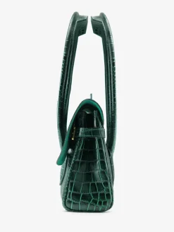 Colette S Alligator
