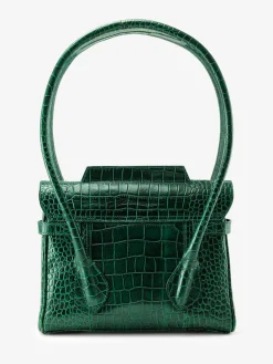 Colette S Alligator