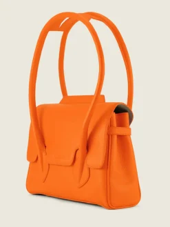 Colette S Sorbet