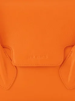 Colette S Sorbet