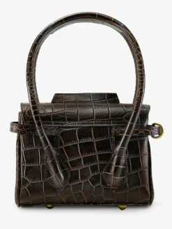 Colette Xs Alligator