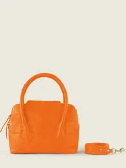 Gisele S Sorbet