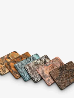 Leporte-Cartes Gabin Python