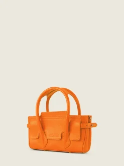 Madeleine Xs Sorbet